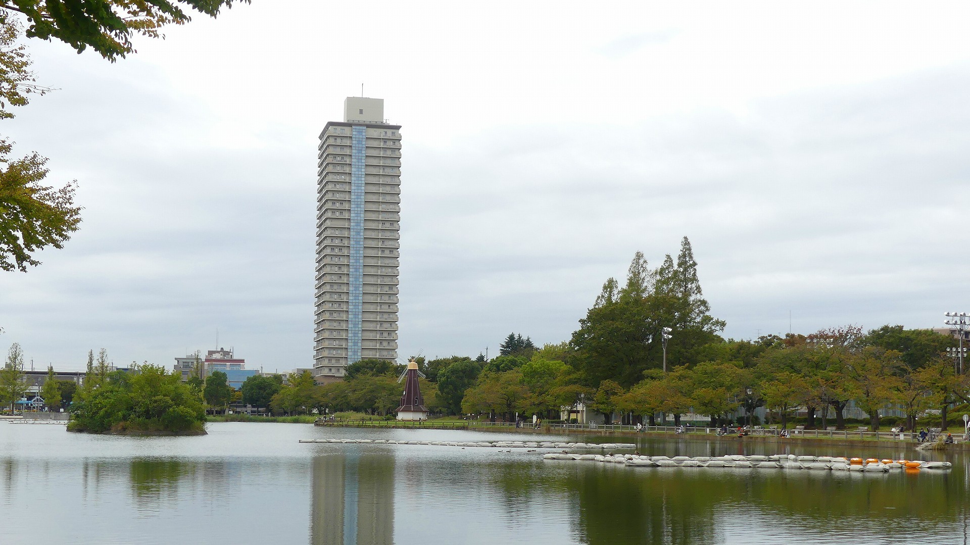 鴨池に秋が来た 【 2019 10/24(木) 】_a0185081_15010933.jpg
