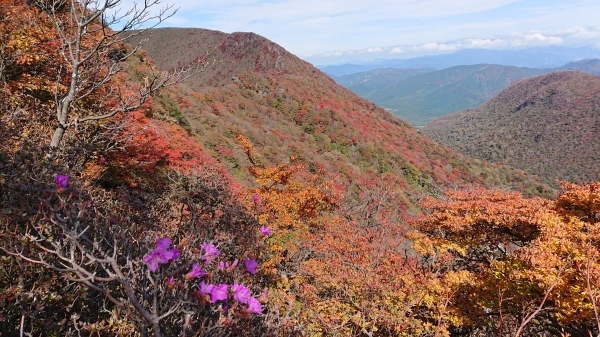 秋のくじゅう大船山紅葉登山_e0262382_21132260.jpg