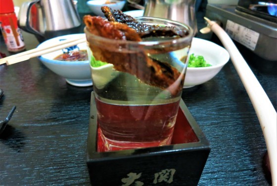 a0258686_09513273.jpg