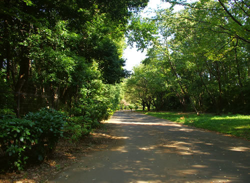 八王子の公園 小山内裏公園 1 八王子見て歩記 八王子の公園 小山内裏公園 1 八王子見て歩記