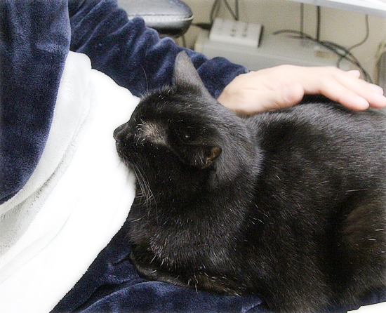 白髪のしあわせ_a0389088_01032751.jpg