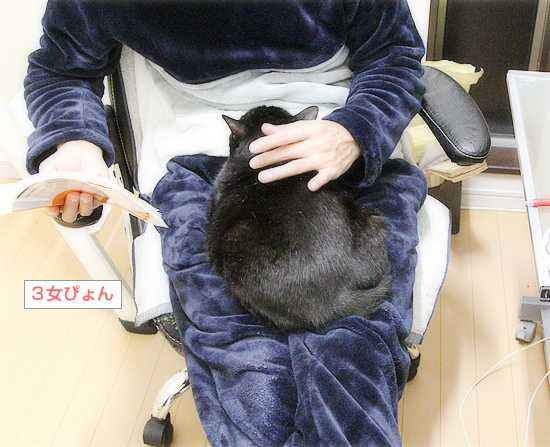 白髪のしあわせ_a0389088_01032791.jpg
