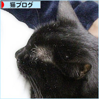 白髪のしあわせ_a0389088_01032856.jpg
