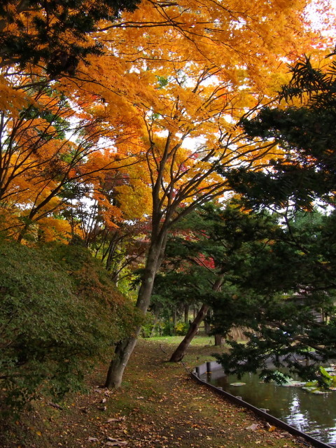 近郊の紅葉⑧　旧島松駅逓_c0360399_22315939.jpg