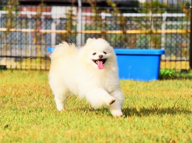 嫌いじゃないよ?_d0360206_00391929.jpg