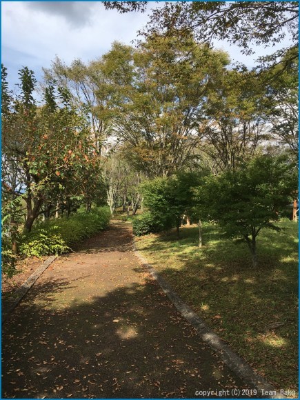 浜北 万葉の森公園 再び_c0376508_15242521.jpg