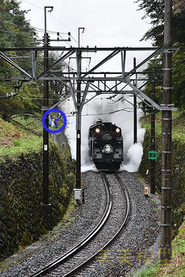 東武 sl 大樹 を臨時運転 ビビッとブログ 東武 sl 大樹 を臨時運転 ビビッとブログ
