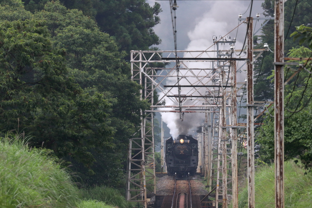 白と黒 - 2019年・秩父鉄道 -_b0190710_22121556.jpg