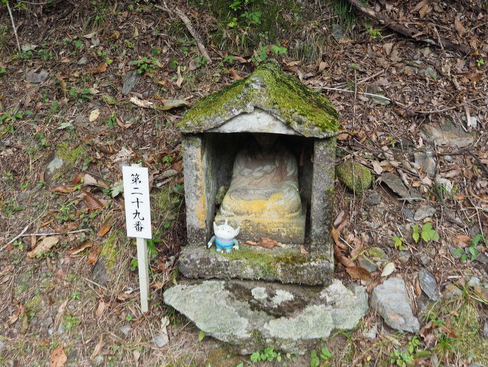 金峰山登山(みたけさんとざん)_c0116915_00040379.jpg