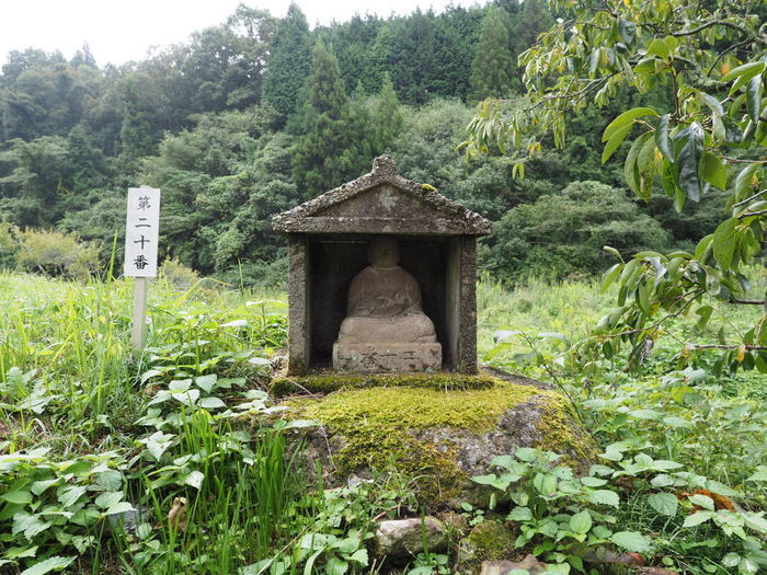 金峰山登山(みたけさんとざん)_c0116915_00053748.jpg