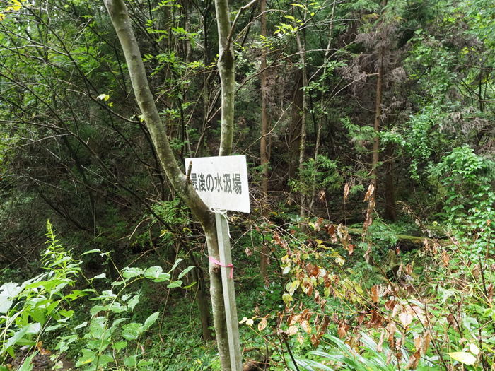 金峰山登山(みたけさんとざん)_c0116915_00063782.jpg