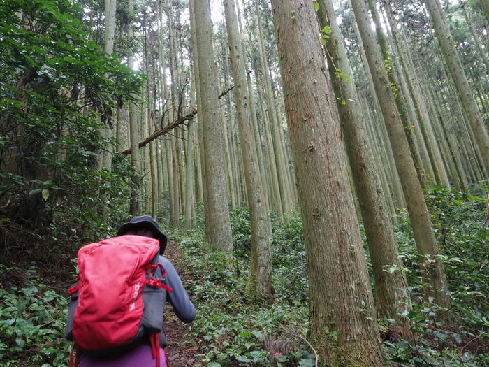 金峰山登山(みたけさんとざん)_c0116915_00070247.jpg