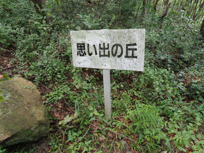 金峰山登山(みたけさんとざん)_c0116915_00071559.jpg