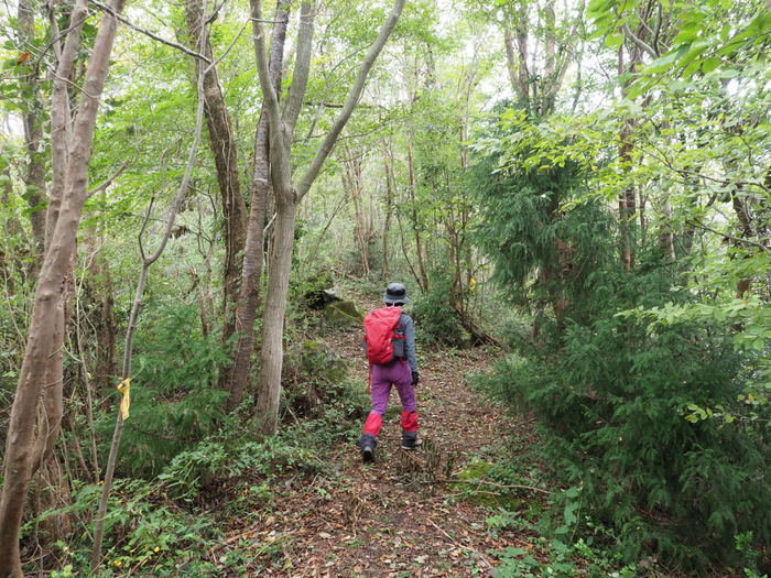 金峰山登山(みたけさんとざん)_c0116915_00083220.jpg