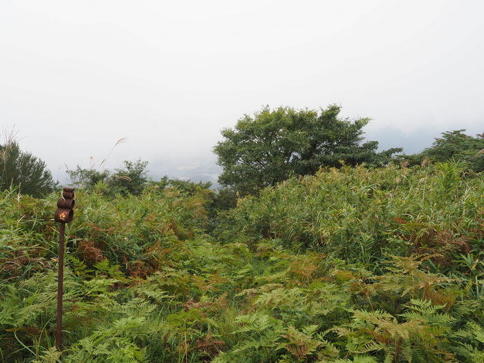 金峰山登山(みたけさんとざん)_c0116915_00105355.jpg