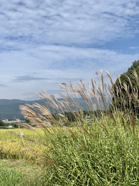 豊穣の秋_e0404027_21555124.jpeg