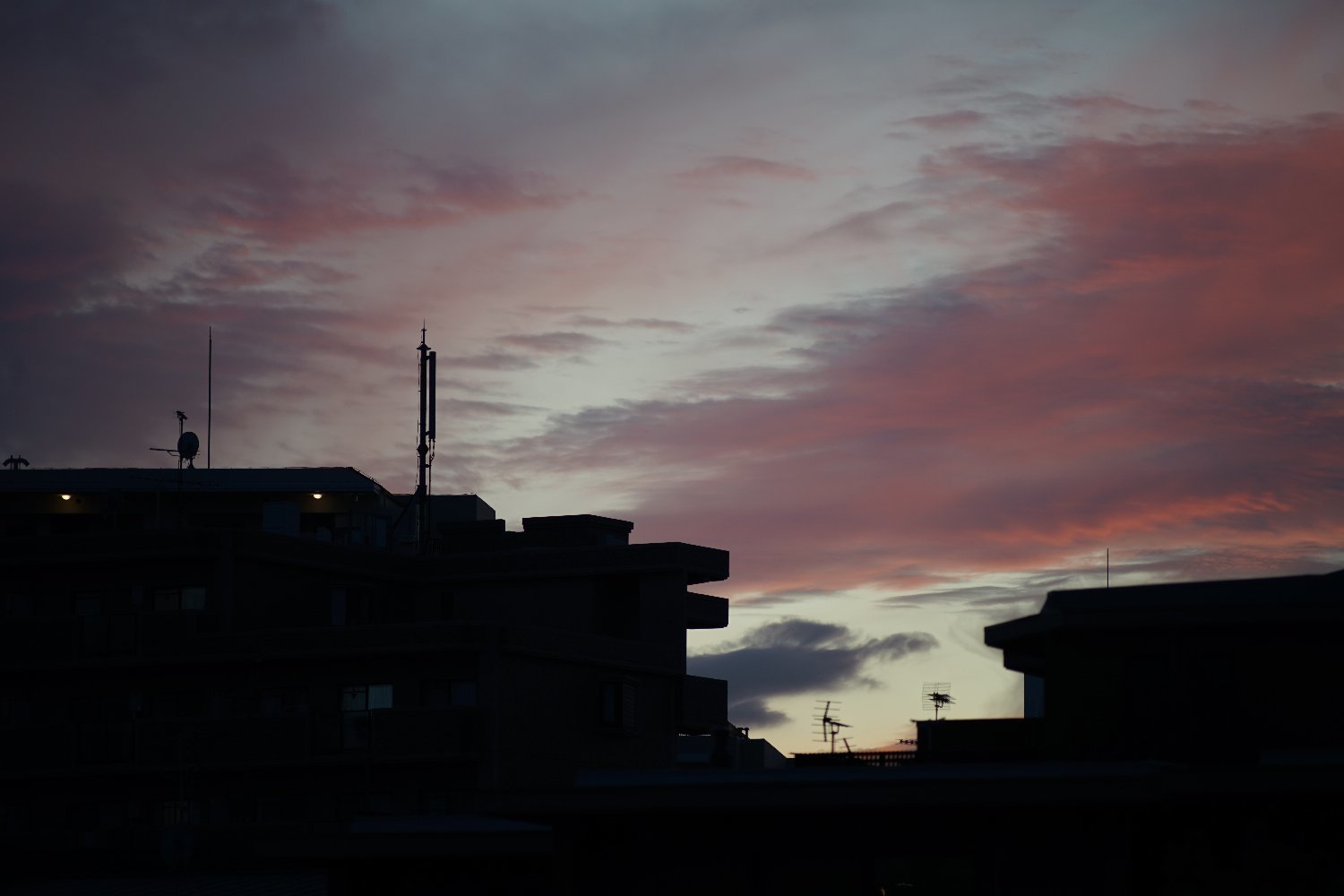 また ニッコール - Q C オート 200mm F4 で_b0069128_12443104.jpg
