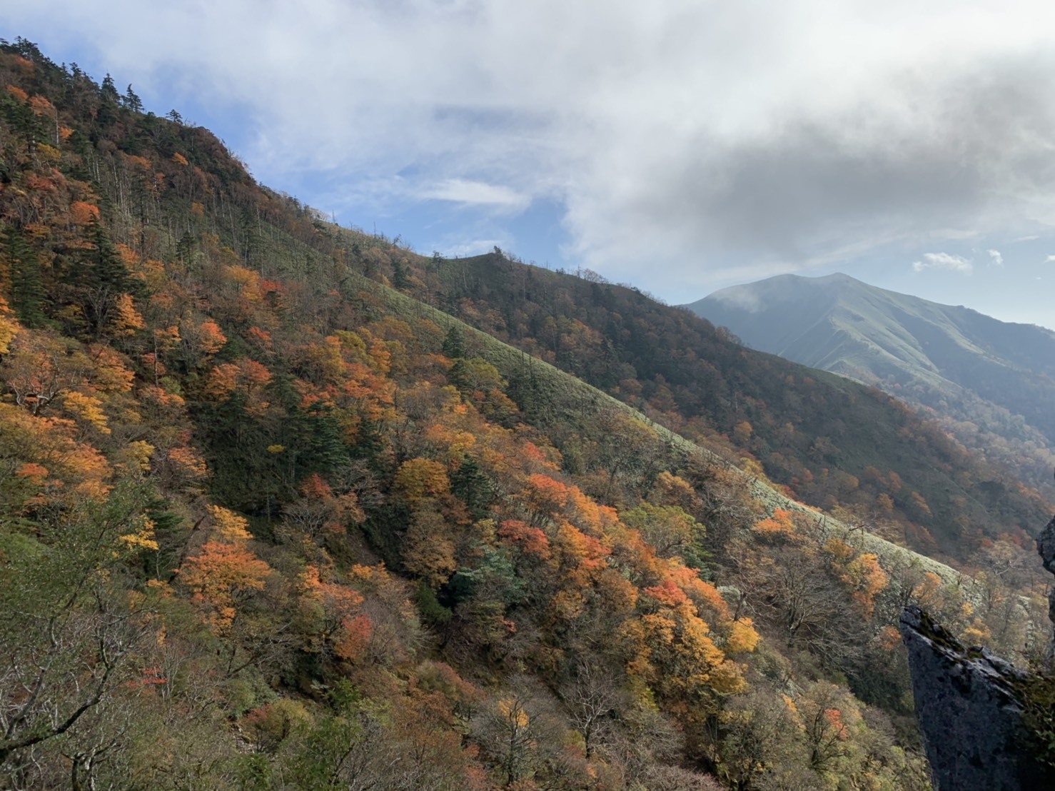 10月22日(火)朝の気温6℃。_c0089831_06430225.jpeg