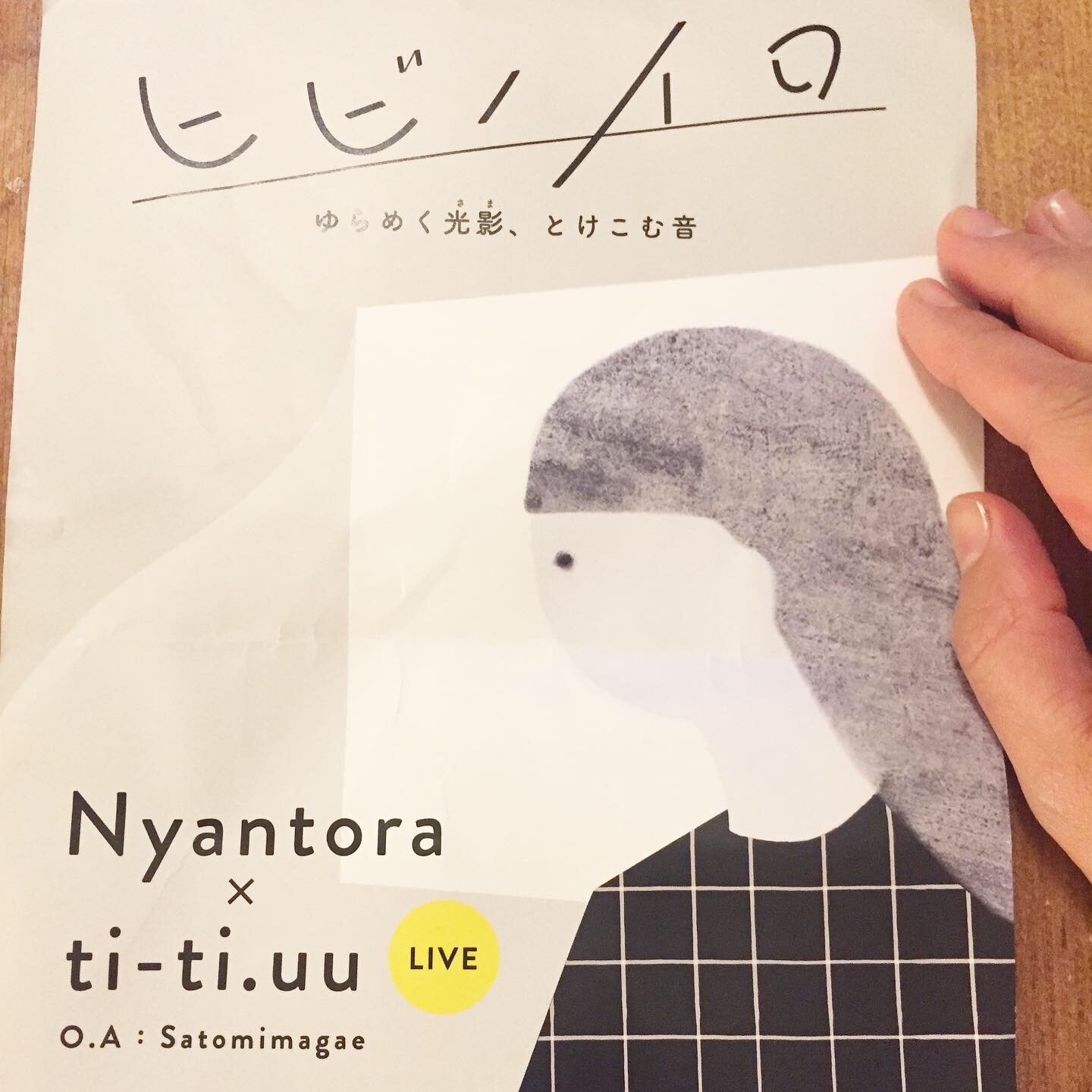 ヒビノイロ ゆらめく光影、とけこむ音 観てきました_a0018237_12250898.jpeg