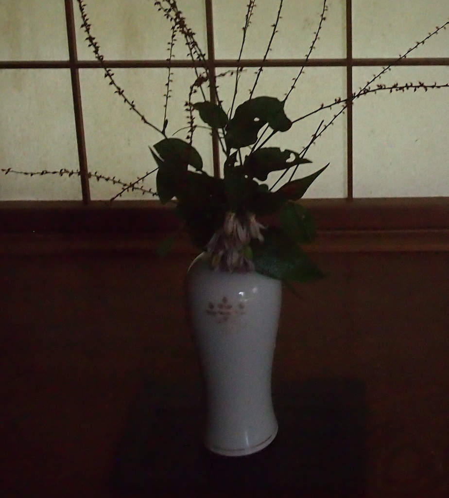 珍しく・・・静かな老夫婦の訳は_b0396150_22523898.jpg