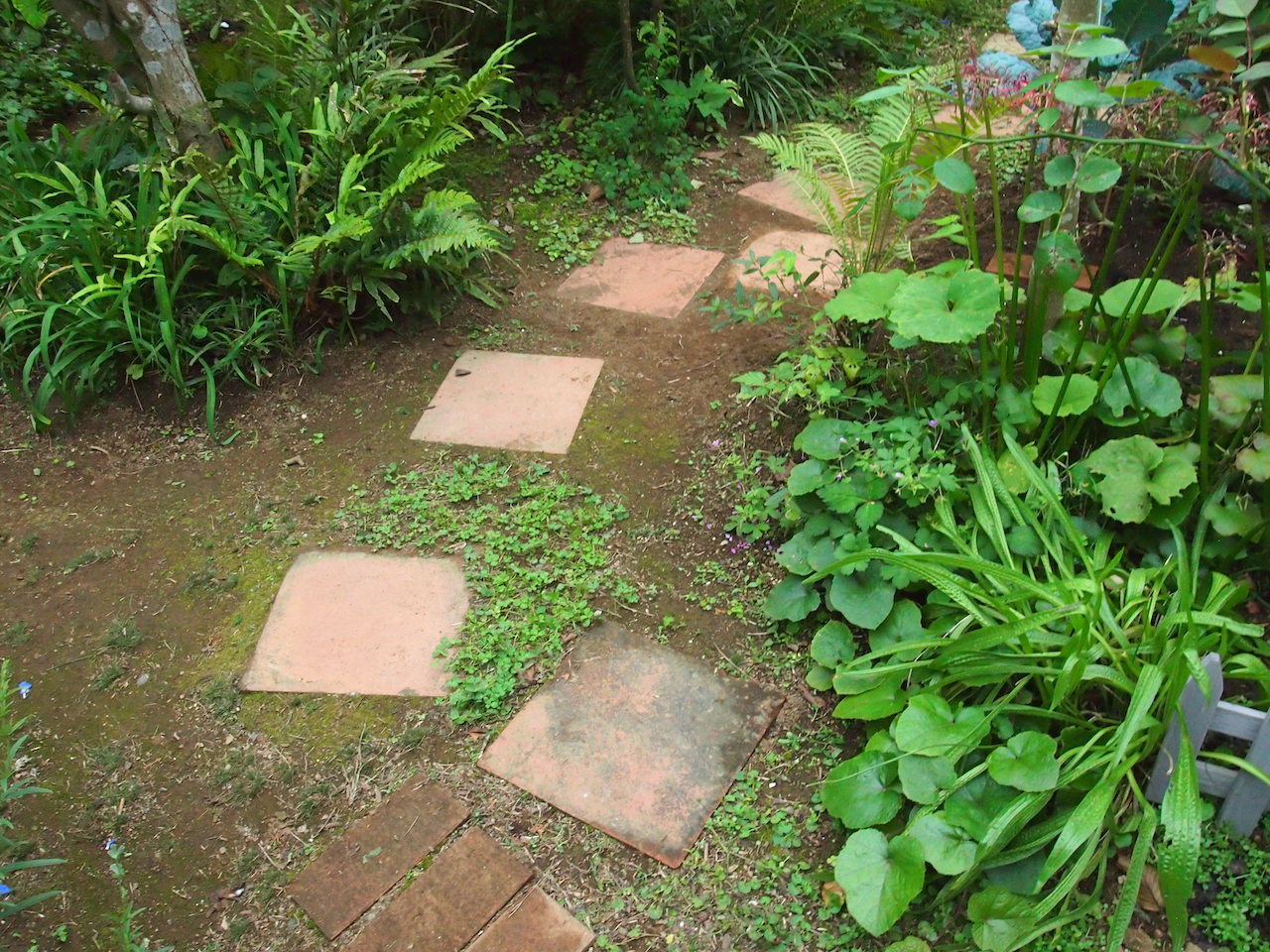 珍しく・・・静かな老夫婦の訳は_b0396150_22530152.jpg