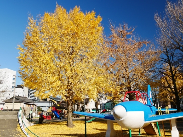 　　街なかの小公園にて　　２０１９-１０-２７　００：００ 　_b0093754_23051320.jpg