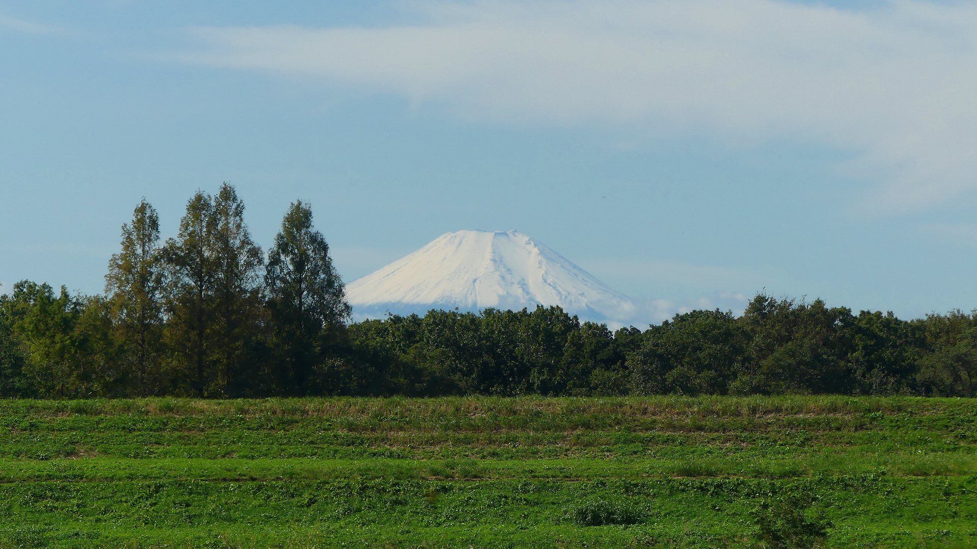 富士は日本一の山 【 2019 10/23(水) 】_a0185081_14233116.jpg