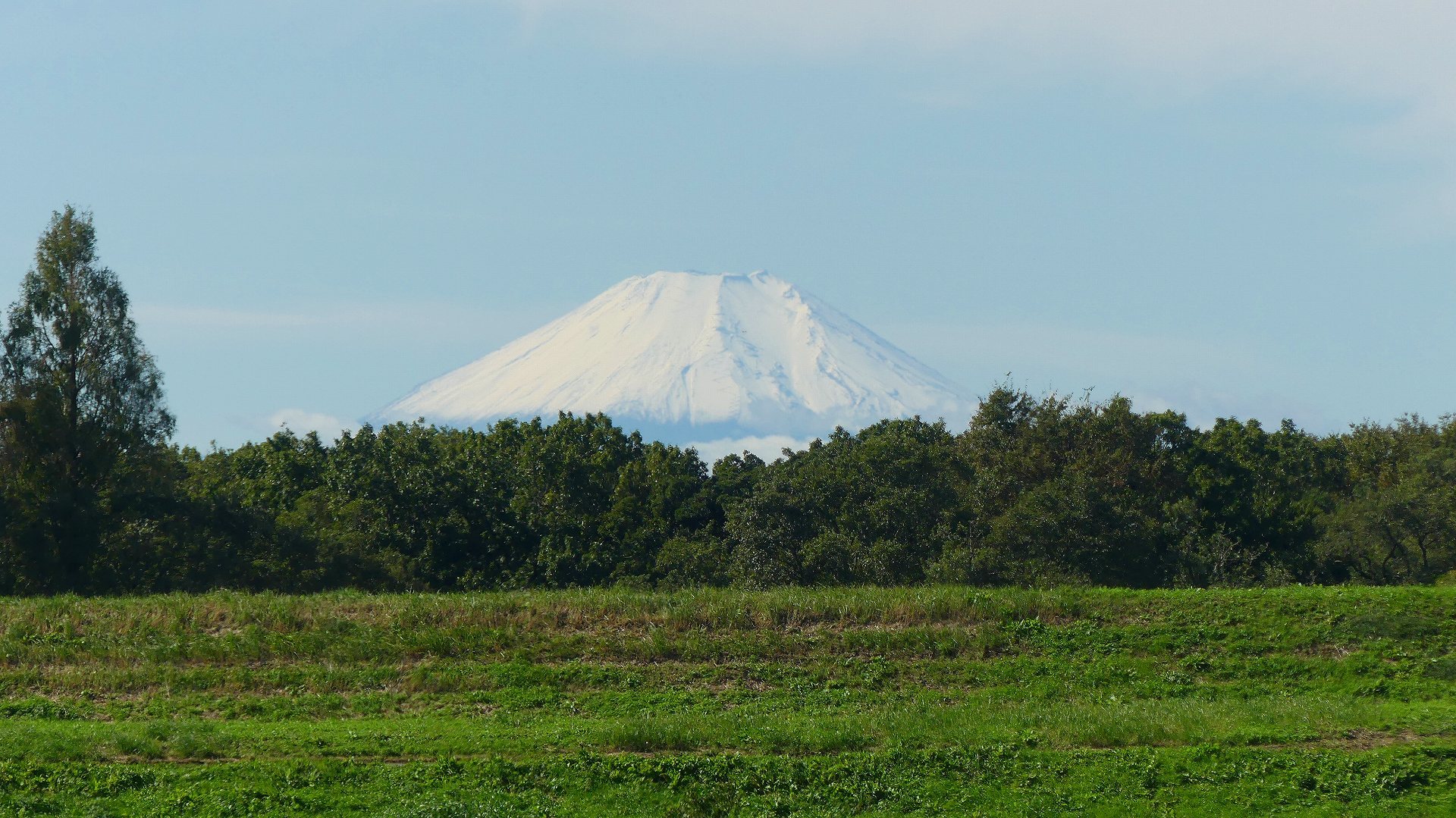 富士は日本一の山 【 2019 10/23(水) 】_a0185081_14235093.jpg