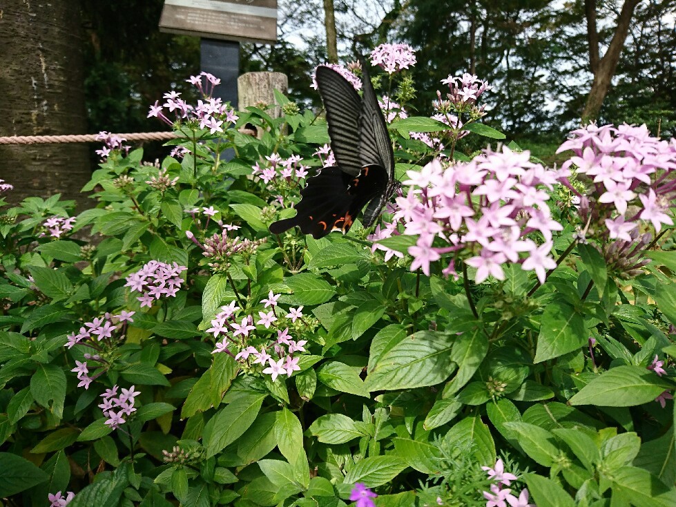 福岡市動植物園へ‼_f0367686_18073960.jpg