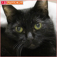またやられた!_a0389088_00331770.jpg