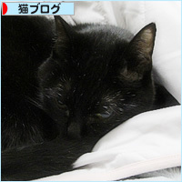 またやられた!_a0389088_00331780.jpg