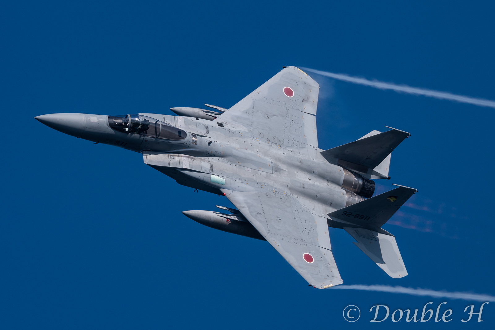 晴天順光背中パックリ_e0401296_10192289.jpg