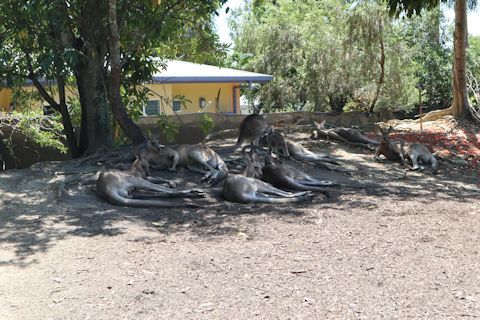 c0090198_19574253.jpg