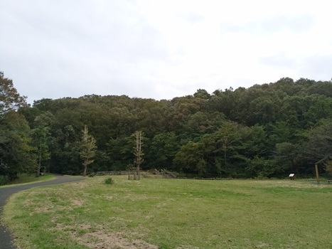 雨漏り_a0236300_22535550.jpg