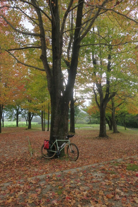 蒜山高原1dayサイクリング_c0132901_10592197.jpg