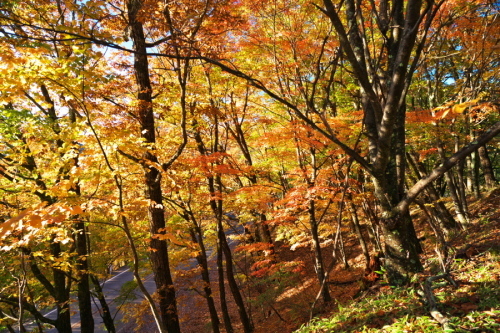 a0263109_13393921.jpg