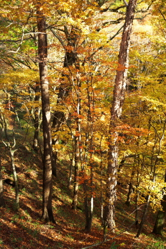 a0263109_13401306.jpg