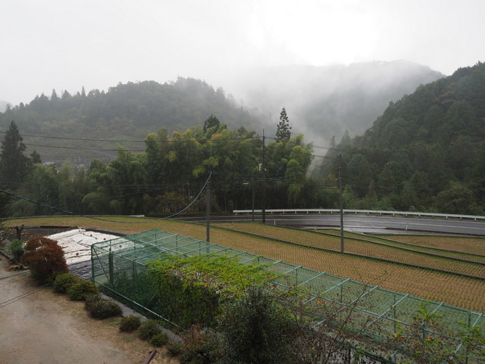 雨の一日_c0116915_23482017.jpg