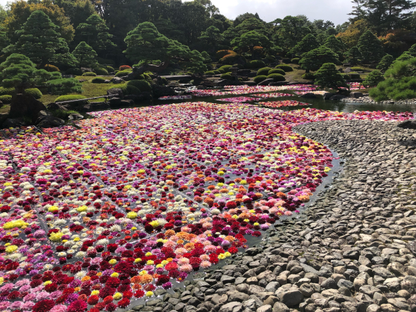 由志園 気ままに Diary