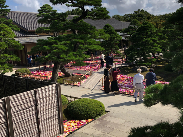 由志園 気ままに Diary