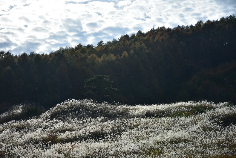 e0273524_11163028.jpg
