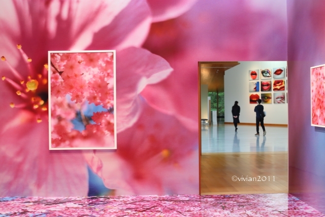蜷川実花展 ~虚構と現実の間に~ in 宇都宮美術館_e0227942_21455653.jpg