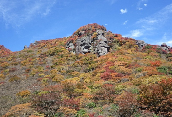 e0164643_11092792.jpg
