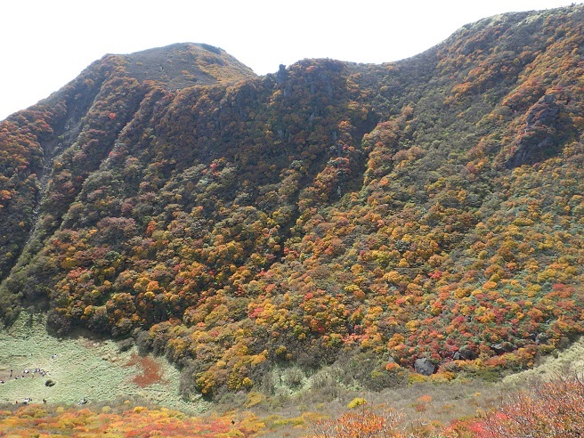 e0164643_11095210.jpg