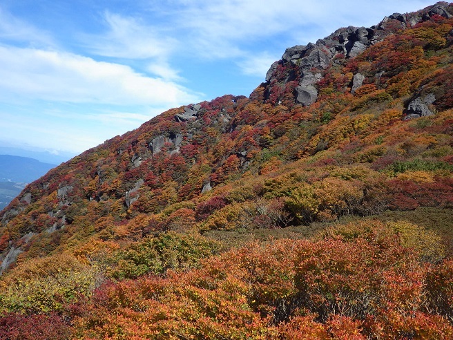 e0164643_11101958.jpg