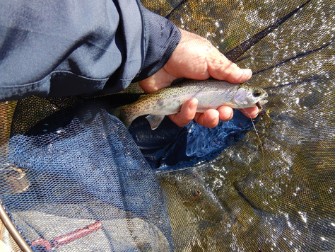 f0175450_7204324.jpg