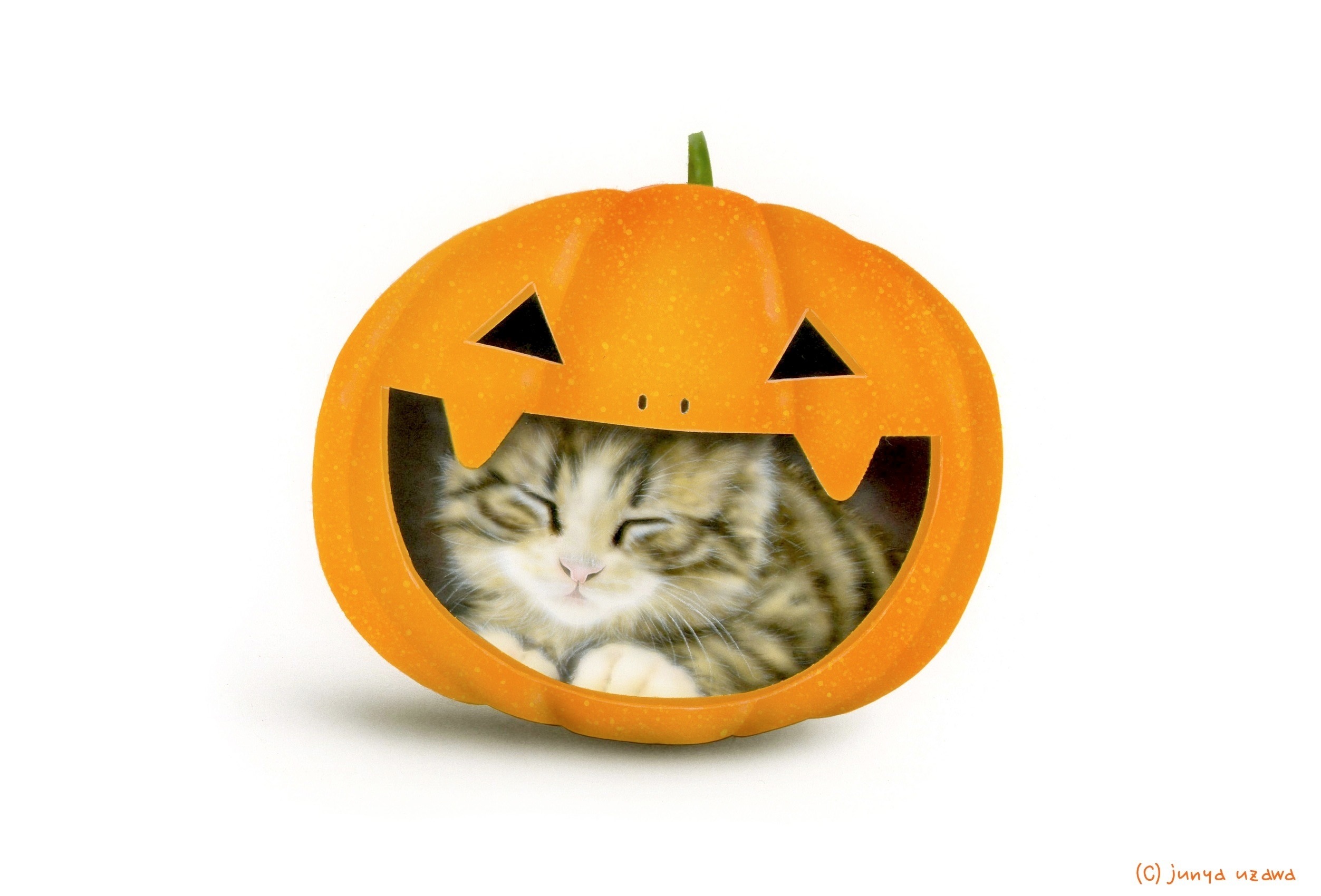 10月のデスクトップピクチャ(壁紙)_a0021565_12542811.jpg