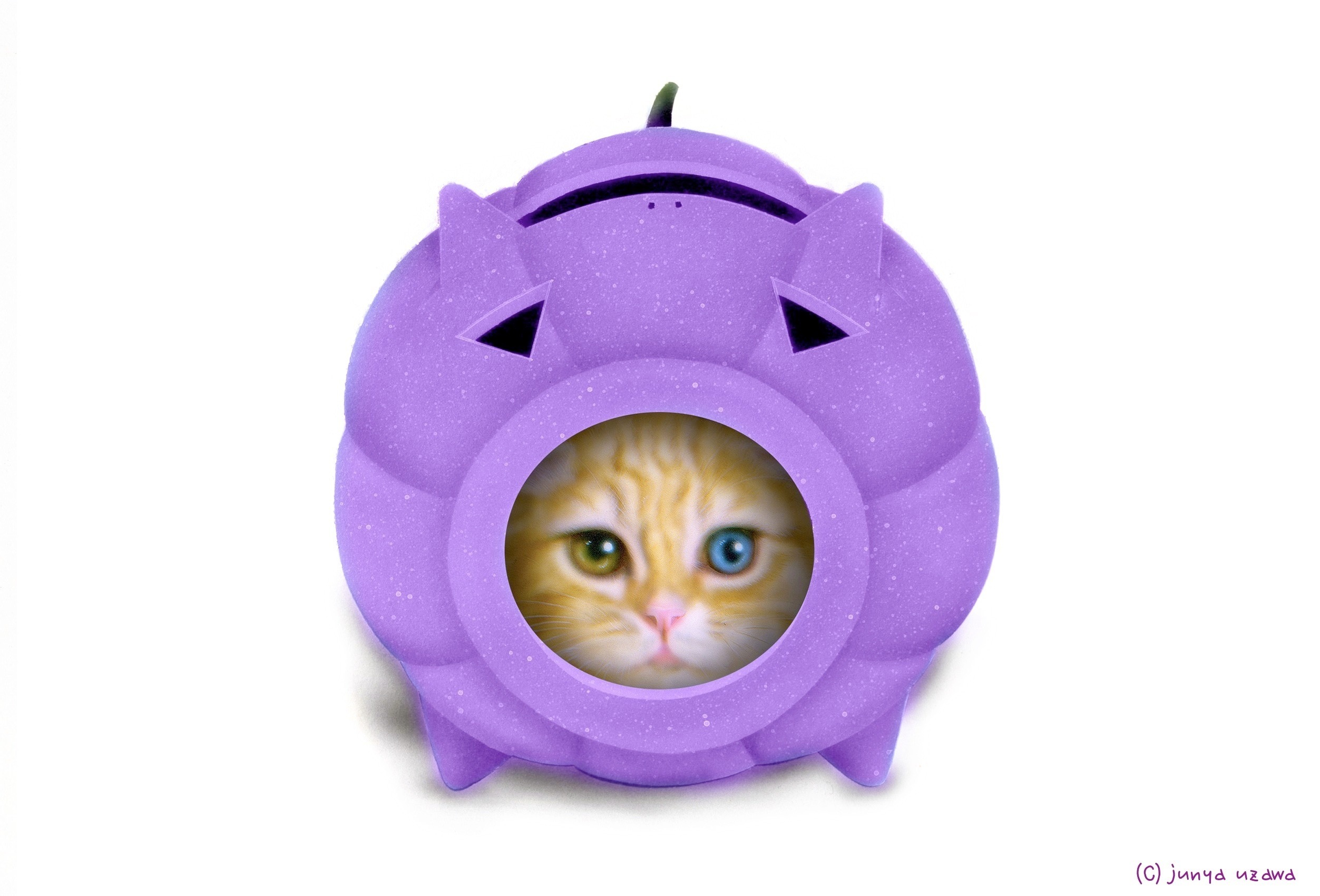 10月のデスクトップピクチャ(壁紙)_a0021565_12564482.jpg