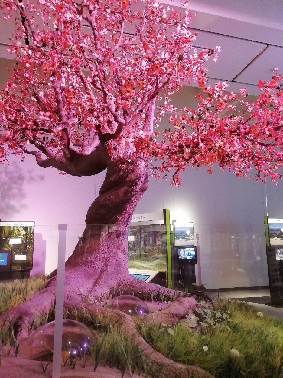 ☆ピクサーのひみつ展☆_f0351775_19265155.jpg