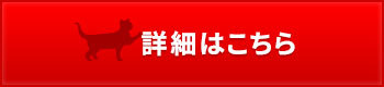 「 夢と希望を 2020年 」_c0328479_19361108.jpg